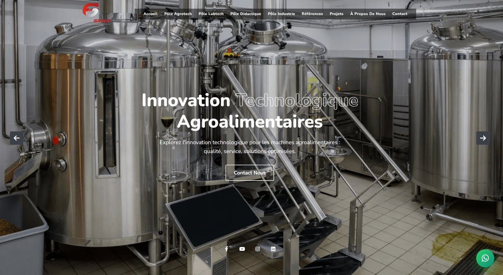 Flaster Group corporate website homepage